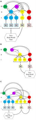 The Transition to Minimal Consciousness through the Evolution of Associative Learning